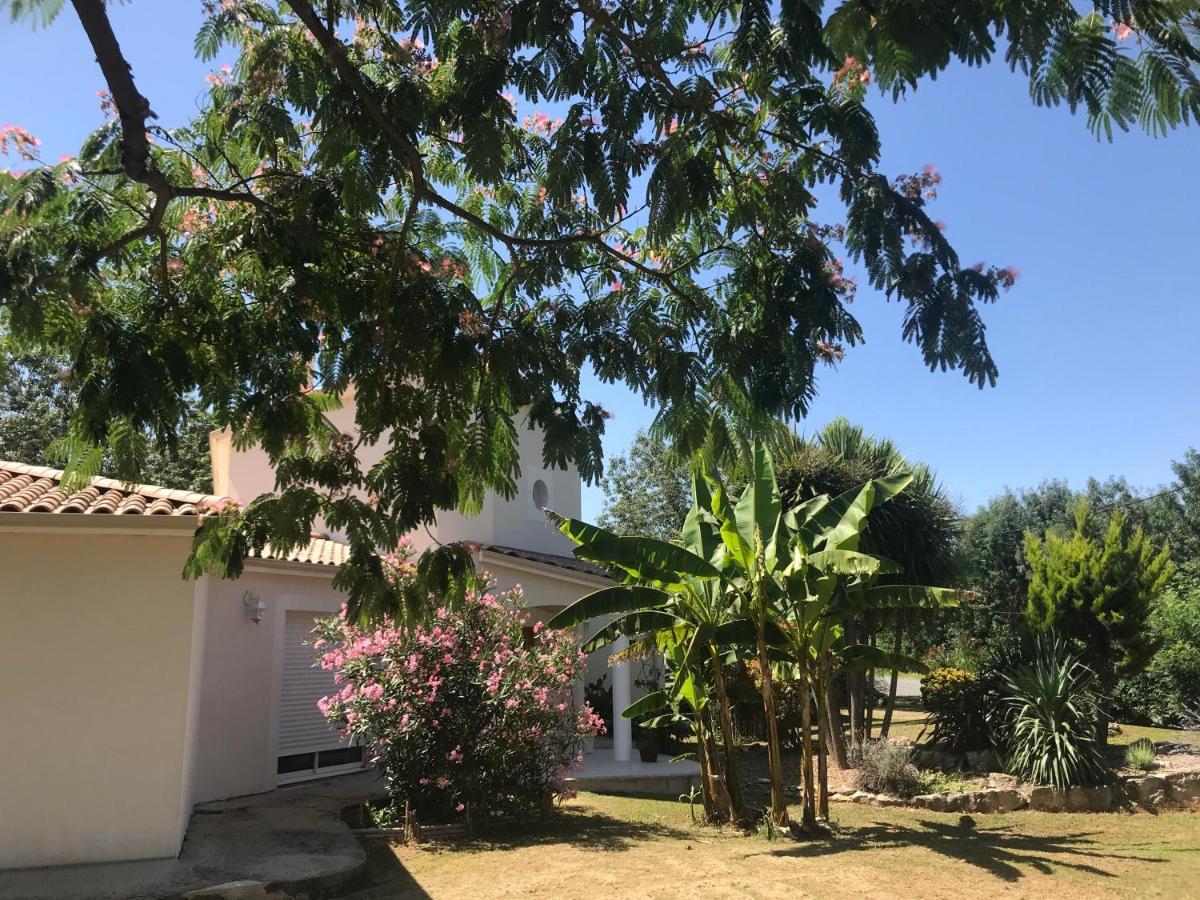Casa Upupa Bed and Breakfast Montreuil  Buitenkant foto